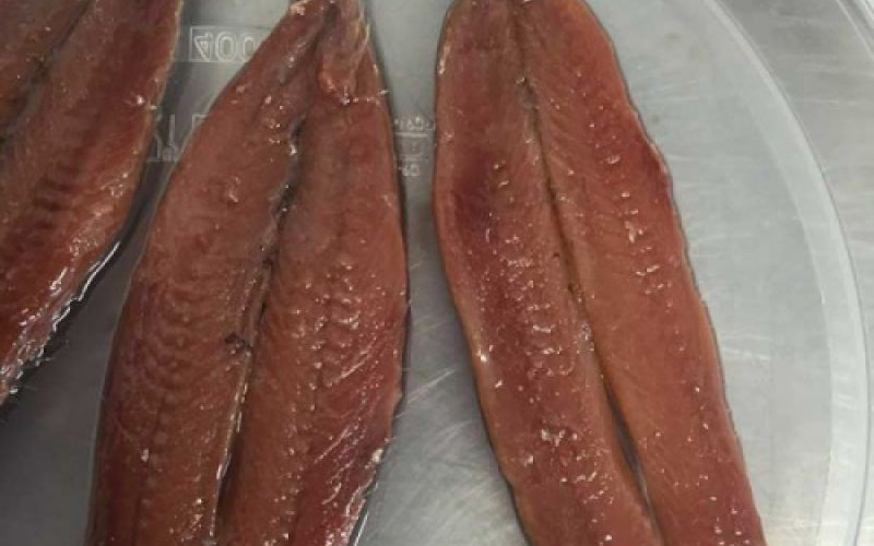 Filetes de anchoas frescas