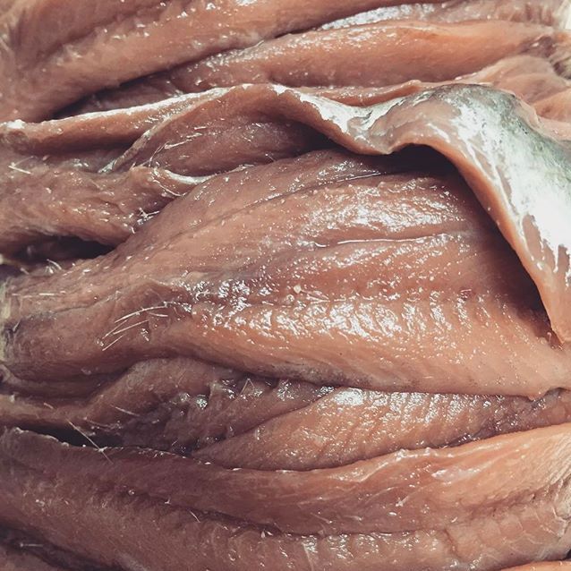 Conservas de anchoa fresca