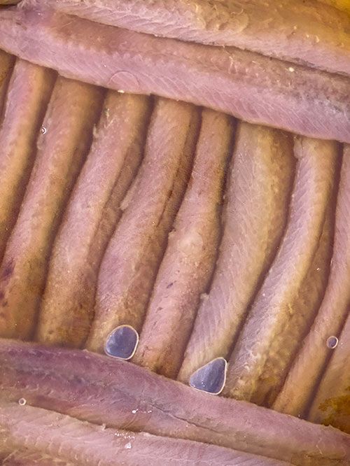 Anchoas artesanes