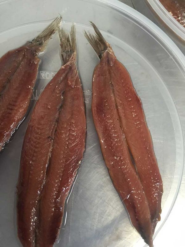 Filetes de anchoas frescas
