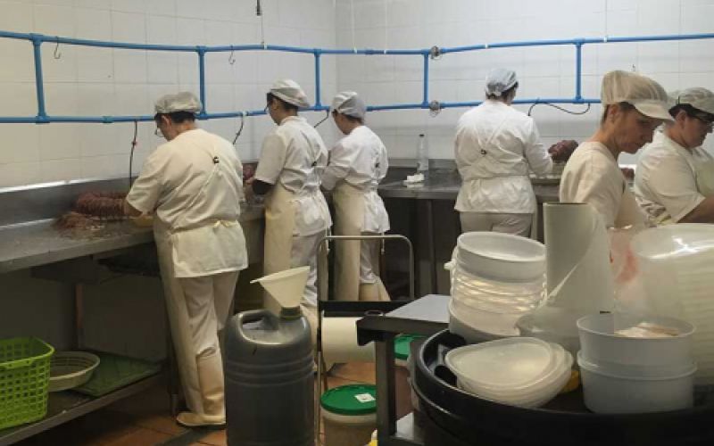 Fábrica de conservas de pescado en Barcelona