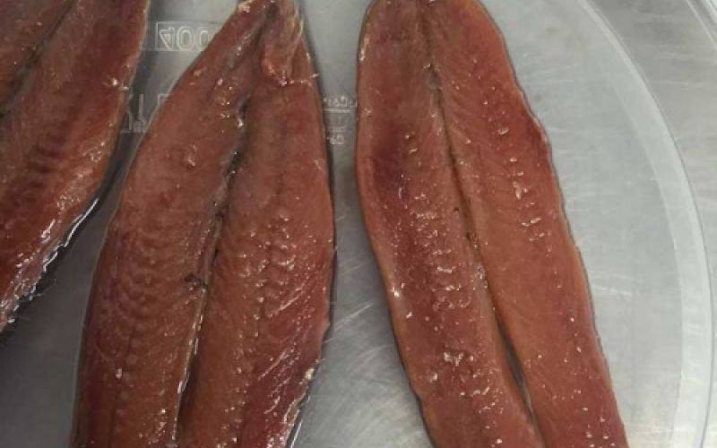 Filetes de anchoas frescas